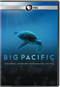 Big Pacific
