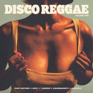 Disco Reggae Vol 2 / Various