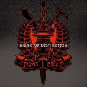 Brink Of Distinction [Explicit Content]