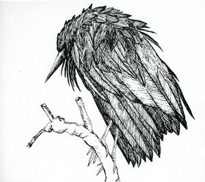 Little Sparrow