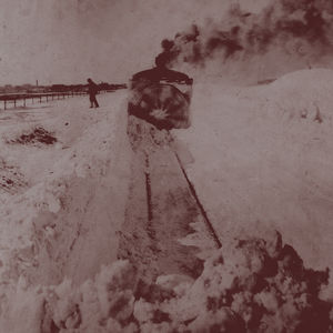 Out Into the Snow