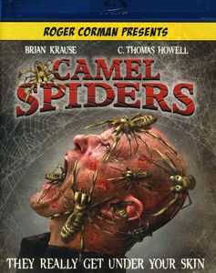 Camel Spiders