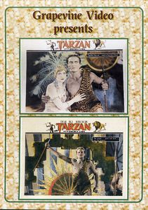 Tarzan and the Golden Lion
