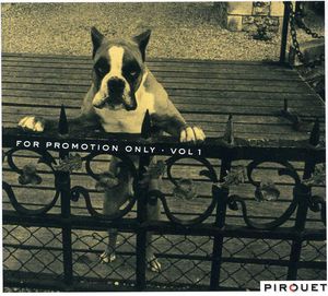 For Promotion Only - Vol. 1