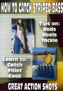 How to Catch Striped Bass