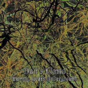 Twenty Years Underground