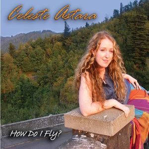 How Do I Fly