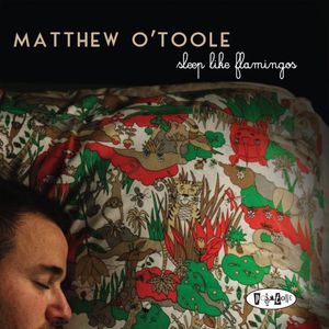 Sleep Like Flamingos
