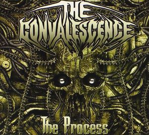 Convalescence : The Process