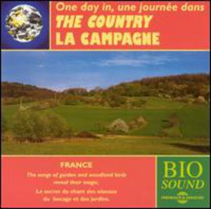 The Country