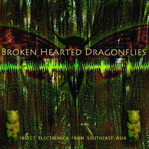 Brokenhearted Dragonflies: Insect Electronica from Southeast Asia