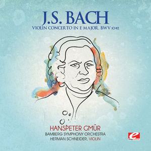 Violin Concerto in E Major