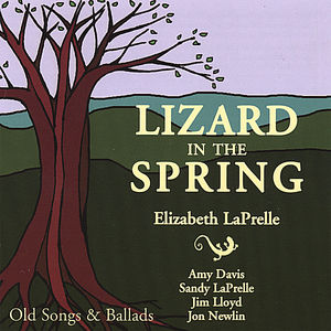 Lizard in the Spring