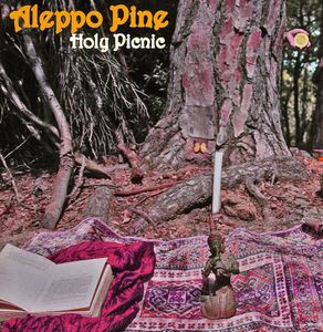 Holy Picnic