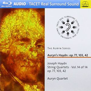 Auryn's Haydn 14