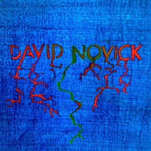 David Novick