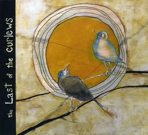 The Last of the Curlews