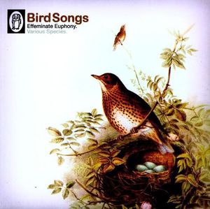 Bird Songs / Various