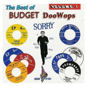 Best of Budget Doo Wops