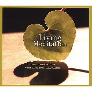 Music for Deep Meditation : Living Meditation: Guided Meditations with David H