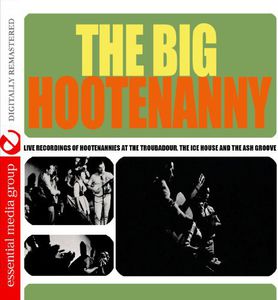 Big Hootenanny / Various
