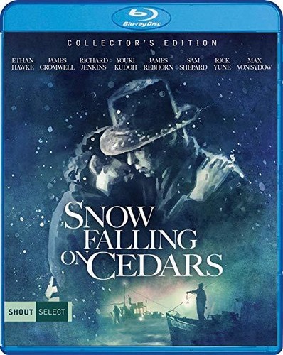 Snow Falling on Cedars|Ethan Hawke