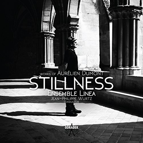 Stillness: Works By Aurelien Dumont