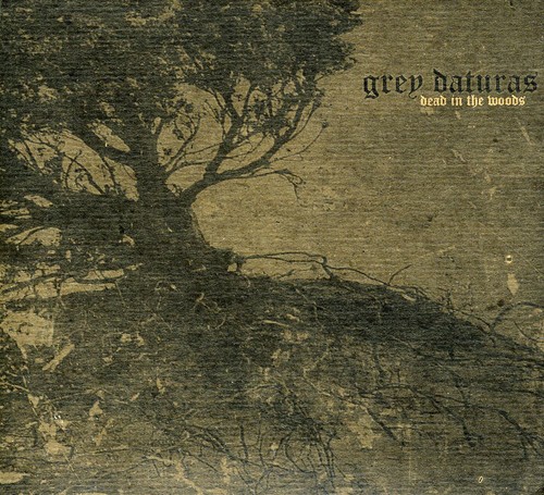 Dead in the Woods