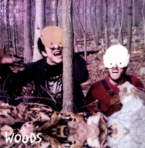 How to Survive in /  in the Woods