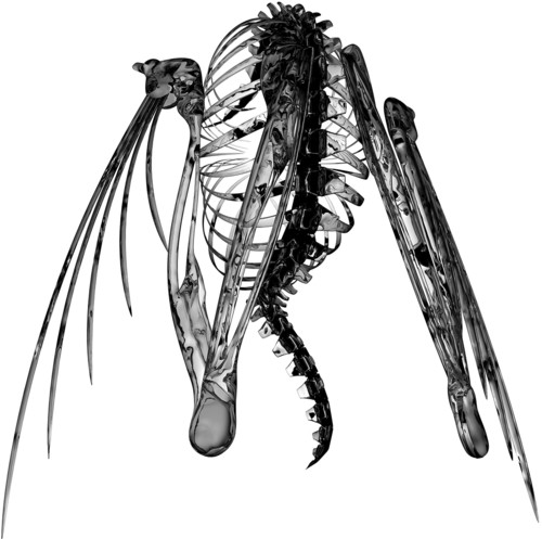 Heterocetera