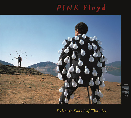 Delicate Sound Of Thunder (Live)