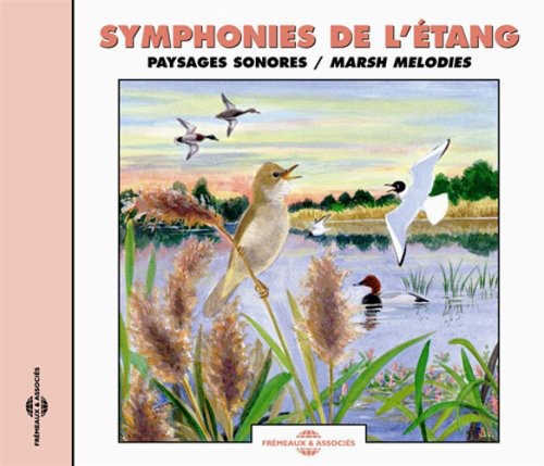 Marsh Melodies: Natural Soundscape