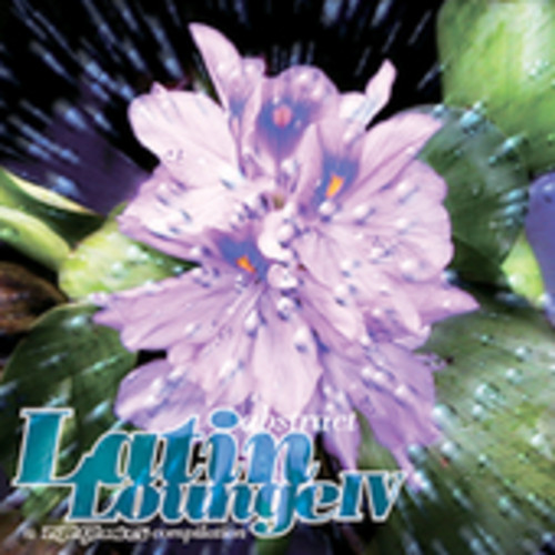 Abstract Latin Lounge 6 /  Various