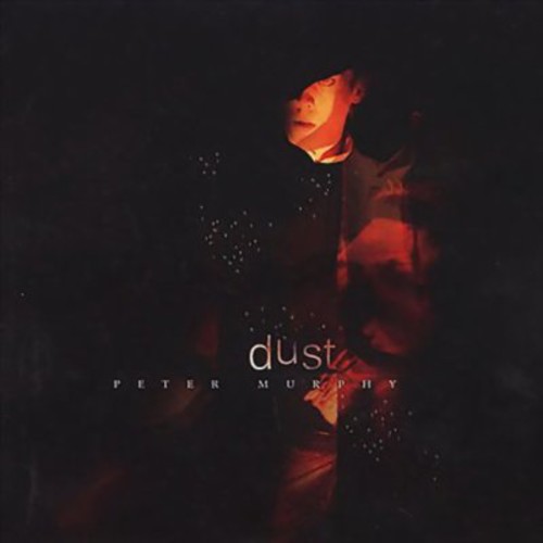 Dust