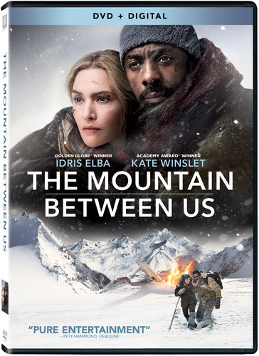 Idris Elba - The Mountain Between Us (DVD (Dubbed, AC-3, Dolby, Widescreen, Digitally Mastered in HD))