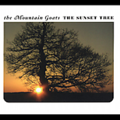 The Sunset Tree