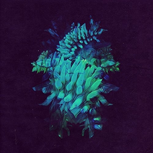 All Glows|Fakear