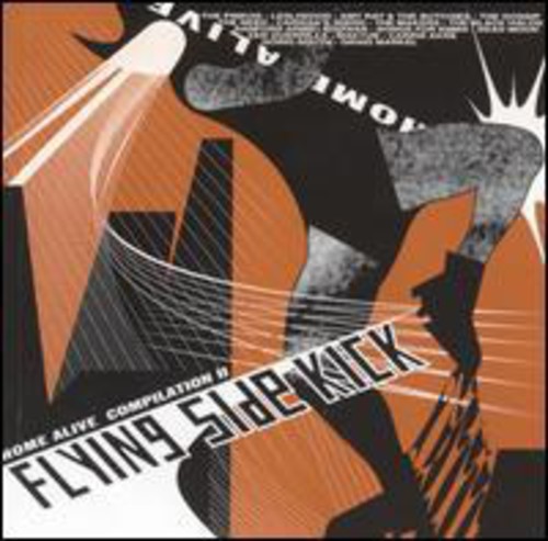 Home Alive Compilation, Vol. 2: Flying Side Kick