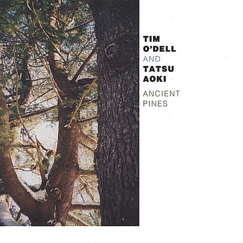 Ancient Pines|Tim O'Dell