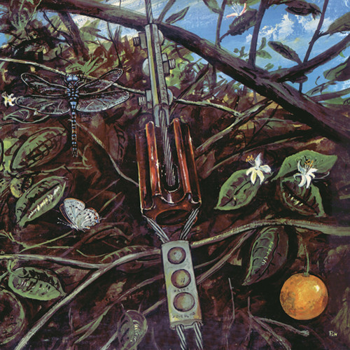 Dragonfly|Dragonfly (Psych)