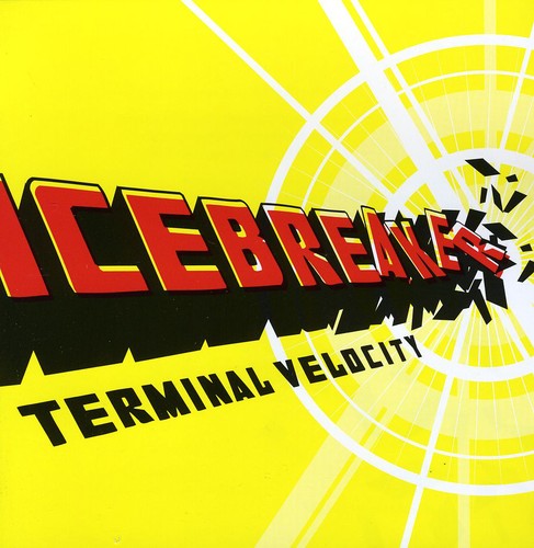 Terminal Velocity