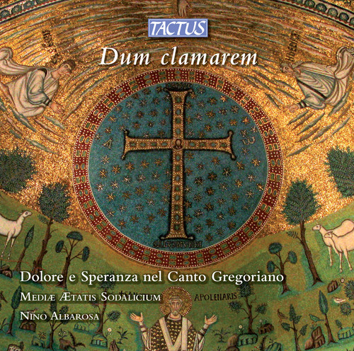 Sorrow & Hope in Gregorian Chant /  Various