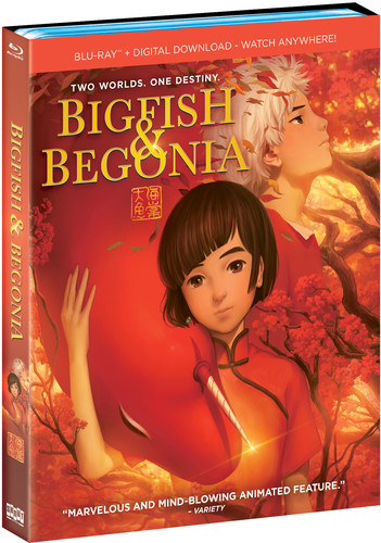 Big Fish & Begonia