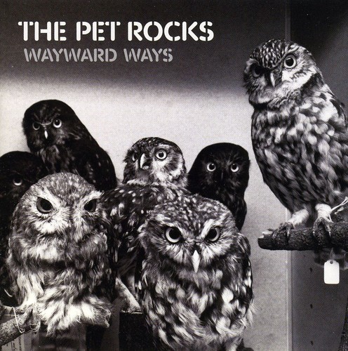 Wayward Ways|The Pet Rocks