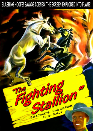 The Fighting Stallion