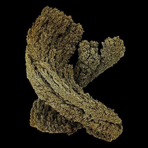 Emergence|Max Cooper