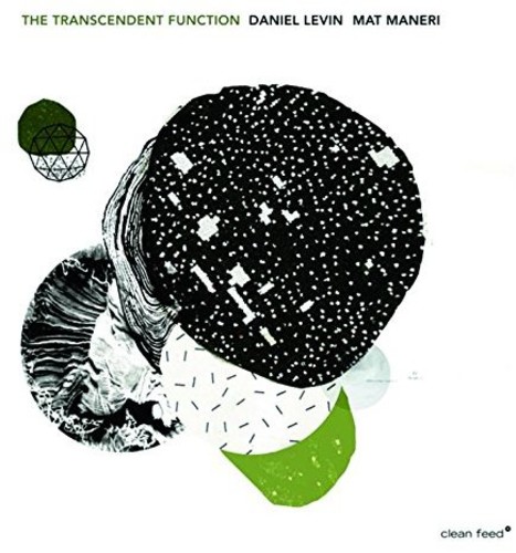 Transcendent Function|Daniel Levin (Cello)