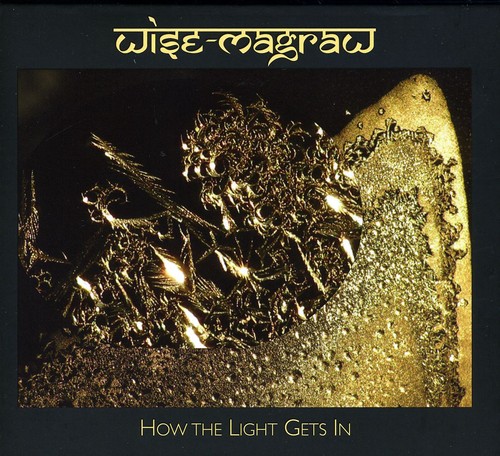 How the Light Gets in