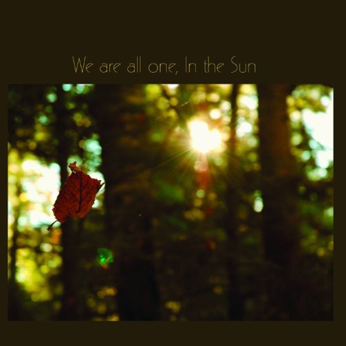 We Are All One, In The Sun: A Tribute To Robbie Basho
