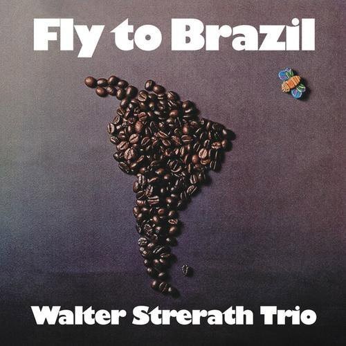 Fly to Brazil